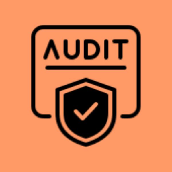 audit webu