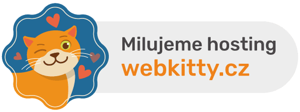 web hosting katy